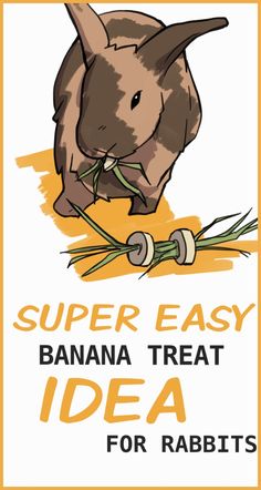 a poster with an image of a bunny eating bamboo leaves and the words, super easy banana treat idea for rabbits