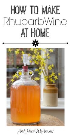 how to make rhubarb wine at home - and tips on how to use it