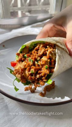 someone is holding a burrito on a plate