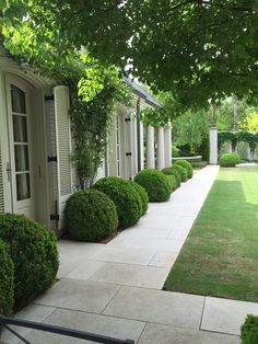 a row of bushes line the side of a home's front door and walkway