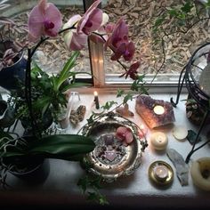 a window sill filled with lots of flowers and candles next to a candle holder