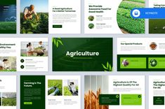 the green powerpoint presentation is displayed on a gray background with lots of different images