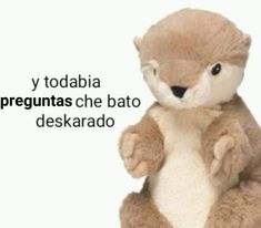 a teddy bear with the words we nomas di fuste tu written on it