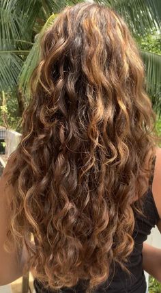 Caramel Blonde Hair Curly, Curly Hair Honey Highlights, Caramel Brown Hair Curly, Messy Curls Long Hair, Dark Blonde Wavy Hair Natural, Loose Perm Women Long Hair, Beachy Highlights Brown Hair, Long Light Brown Curly Hair, Curly Hair Highlights Blonde