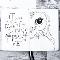 a notebook with an owl drawn on it and the words, it does not do to owls