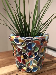 a potted plant sitting on top of a wooden table