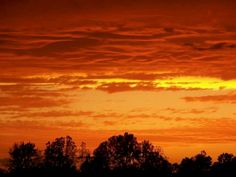 an orange and yellow sky with trees in the foreground