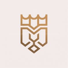 an abstract logo designed to look like a shield