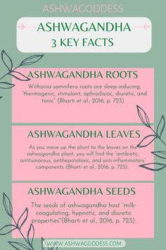 Pink and green text with greenery describing 3 key facts about Ashwagandha, including information about Ashwagandha Roots, Ashwagandha Leaves, and Ashwagandha Seeds! What Is Ashwagandha, The Goddess, Seeds, Herbs, Healing, Key, Health