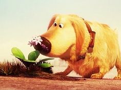 a dog is sniffing a plant with its mouth wide open and tongue hanging out to the side