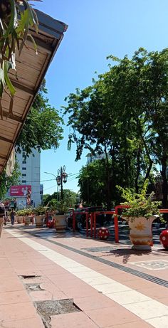 there are many potted plants on the sidewalk