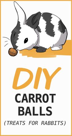 a poster with the words diy carrot balls and an image of a rabbit eating something