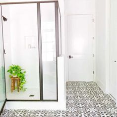 a white bathroom with black and white tile flooring, shower stall and plant in the corner