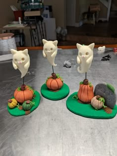 three cat heads on top of small pumpkins