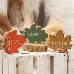 three wooden signs with words on them sitting on top of a piece of wood next to feathers