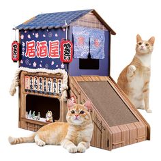 two cats standing next to a cat house and another cat sitting in front of it