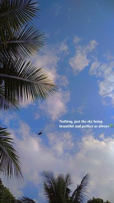 the sky is blue with clouds and palm trees in it, as well as an inspirational quote