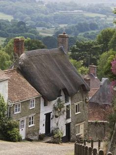 a house with a thatched roof in the countryside