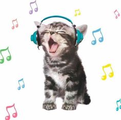 a cat wearing headphones and singing into music