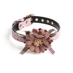 a dog collar with a flower on it