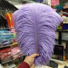 a person holding a purple feathered object in front of a computer desk with other items on the shelves