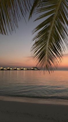 the sun is setting over the ocean with palm trees on the beach and houses in the distance