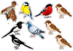 six different birds are shown in the shape of stickers on a white background,