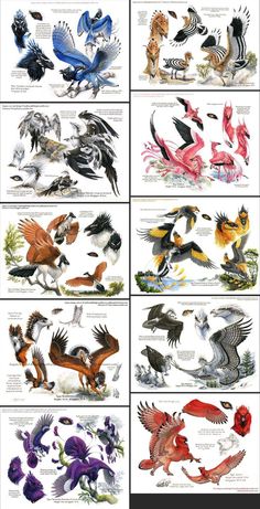 an image of birds in different colors and sizes, with the names on each page