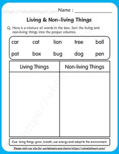 the living and non - living things worksheet