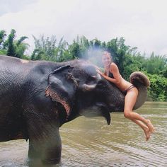 a woman riding on the back of an elephant in a body of water with trees in the background