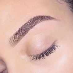 Lashes And Eyebrows, Eyebrow Care, Eyebrow Shapes, Plucking Eyebrows, Filling In Eyebrows, How To Grow Eyebrows