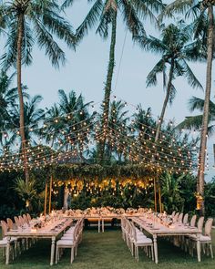 an outdoor dining area with palm trees and string lights