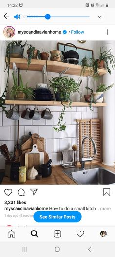 an instagram page with plants and pots on shelves above a sink in a kitchen