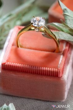 an engagement ring sitting on top of a pink box next to a green leafy plant