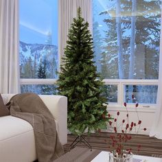 848363038229_11263256_-330634239.jpg Douglas Fir Christmas Tree, White Pine Tree, Slim Tree, Fir Christmas Tree, Pencil Christmas Tree, Christmas Greenery, Artificial Tree, Green Christmas Tree, Douglas Fir