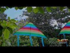 two colorful umbrellas sitting in the middle of trees