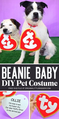 a dog holding two heart shaped cut outs with the words beanie baby diy pet costume