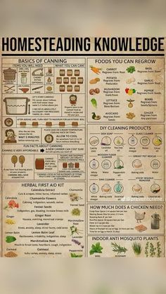 a poster with the words, homesteading knowledge