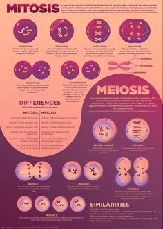 an info poster showing the different types of cell phones and what they are used for