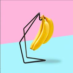 two bananas hanging from a black stand on a pink and blue background