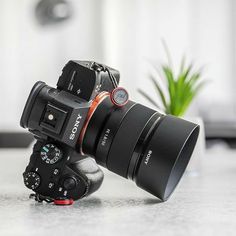 a camera sitting on top of a table next to a potted plant