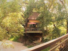 the house is surrounded by trees and greenery