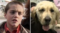 two pictures side by side one has a dog and the other has a man's face