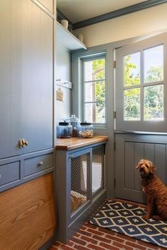 a dog sitting on a rug in the corner of a kitchen with an open door