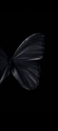 a black and white photo of a butterfly in the dark with only one wing visible