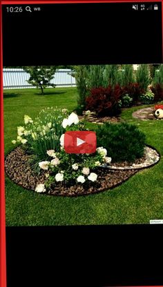 an image of a flower bed in the middle of a yard with flowers on it