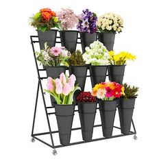 a rack with many different types of flowers in pots on top of eachother