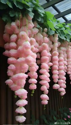 pink and white flowers hanging from the ceiling