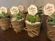 small succulents in burlap pots with labels on them sitting on a table