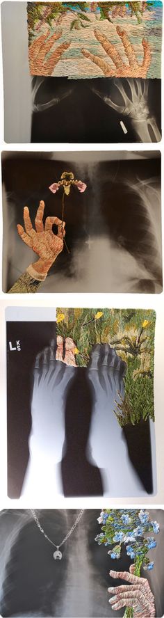 three different images of hands and trees in the water, with one shadow on the ground